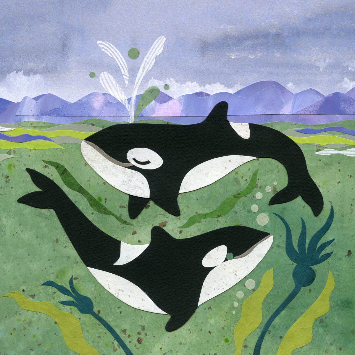 Orcas Killer Whales in the Ocean Patterned Tissue Paper